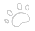 Paw
